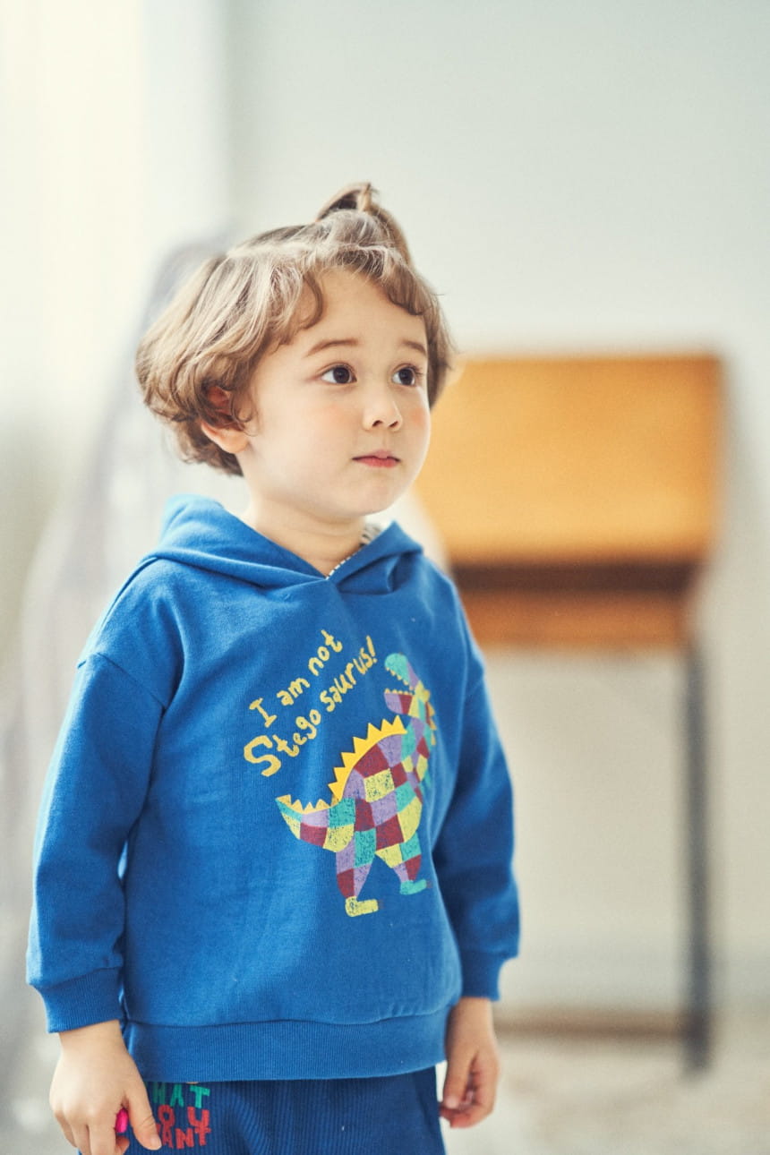 MIMICO - Korean Children Fashion - #Kfashion4kids - Stego Hoody Top - 2