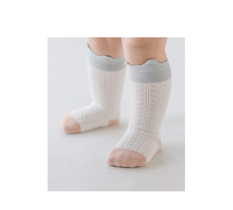 KIDS CLARA - Korean Children Fashion - #Kfashion4kids - Cielo Knww Socks [set of 5] - 2