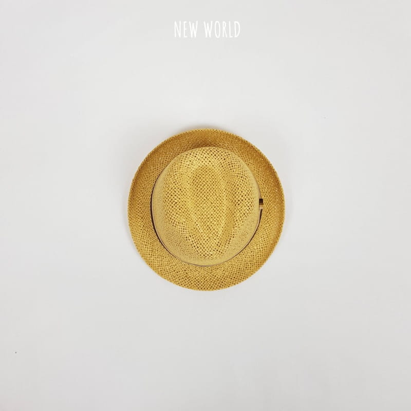 NEW WORLD - Korean Children Fashion - #Kfashion4kids - Special Mesh Fedora - 3