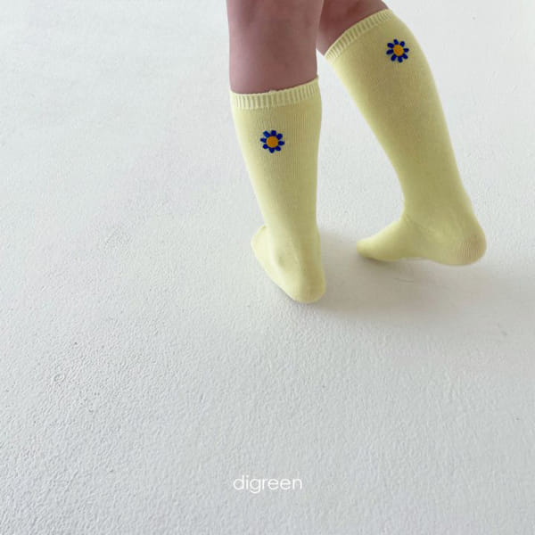 DIGREEN - Korean Children Fashion - #Kfashion4kids - Garden Socks [set of 3] - 10