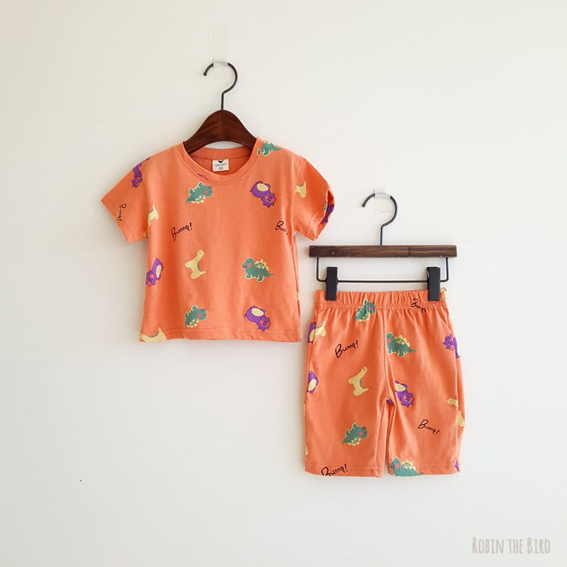 SAEROBIN - Korean Children Fashion - #Kfashion4kids - Dinosaur Top Bottom Set - 5
