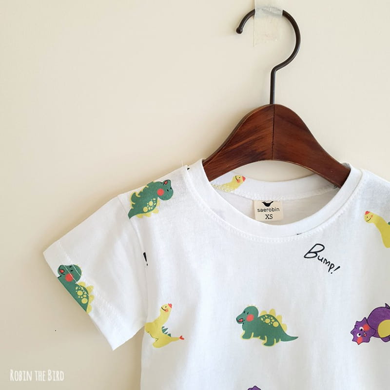 SAEROBIN - Korean Children Fashion - #Kfashion4kids - Dinosaur Top Bottom Set - 6
