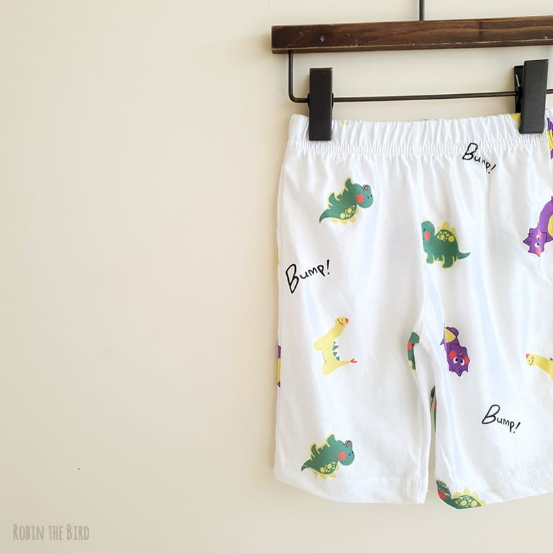 SAEROBIN - Korean Children Fashion - #Kfashion4kids - Dinosaur Top Bottom Set - 7