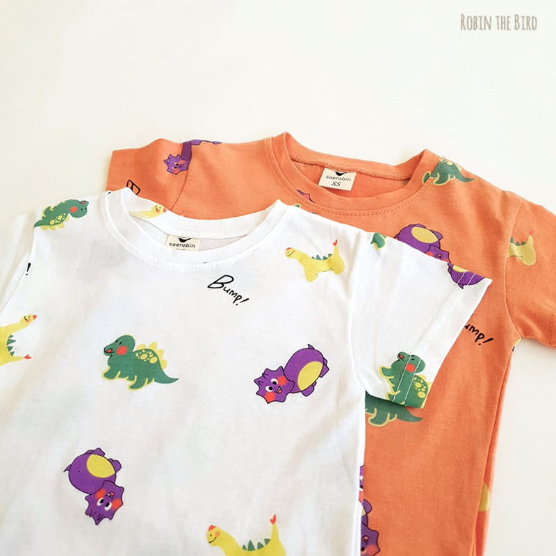 SAEROBIN - Korean Children Fashion - #Kfashion4kids - Dinosaur Top Bottom Set - 8