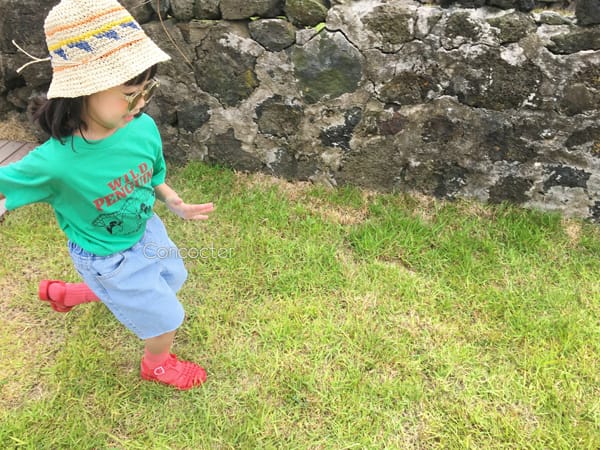 CONCOCTER - Korean Children Fashion - #Kfashion4kids - Hag Glider Penguin Tee - 9