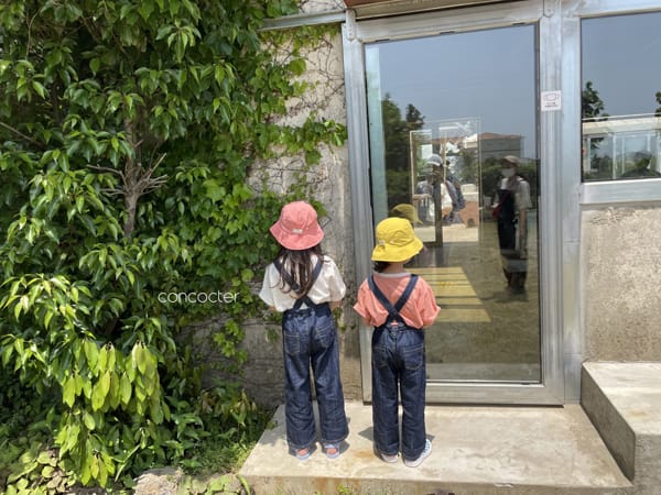 CONCOCTER - Korean Children Fashion - #Kfashion4kids - Preference Shoot Overall - 3