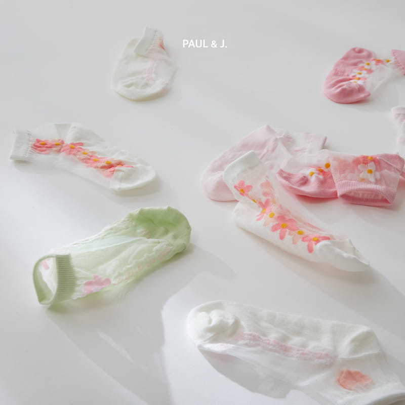 PAUL & J - Korean Children Fashion - #Kfashion4kids - Freesia Socks [set of 5] - 8