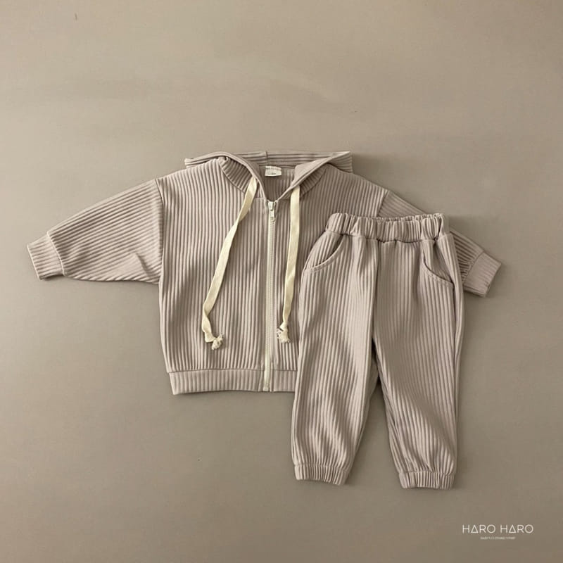 HARO HARO - Korean Children Fashion - #Kfashion4kids - Pleats Zip-up Top Bottom Set - 3