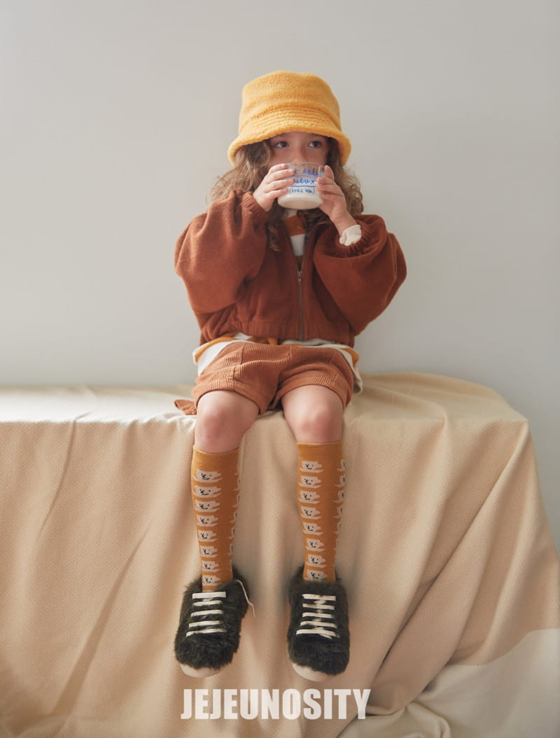 JEJEUNOSITY - Korean Children Fashion - #Kfashion4kids - Softly Hoody Zip-up - 6