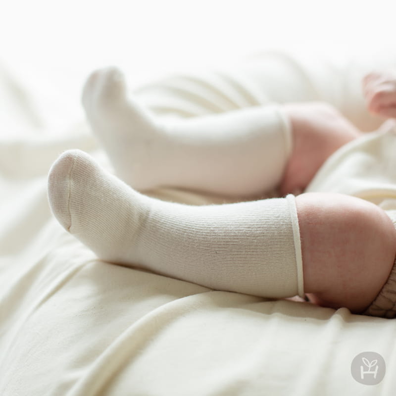 KIDS CLARA - Korean Children Fashion - #Kfashion4kids - Lovi Rolling Baby Socks [set of 5]