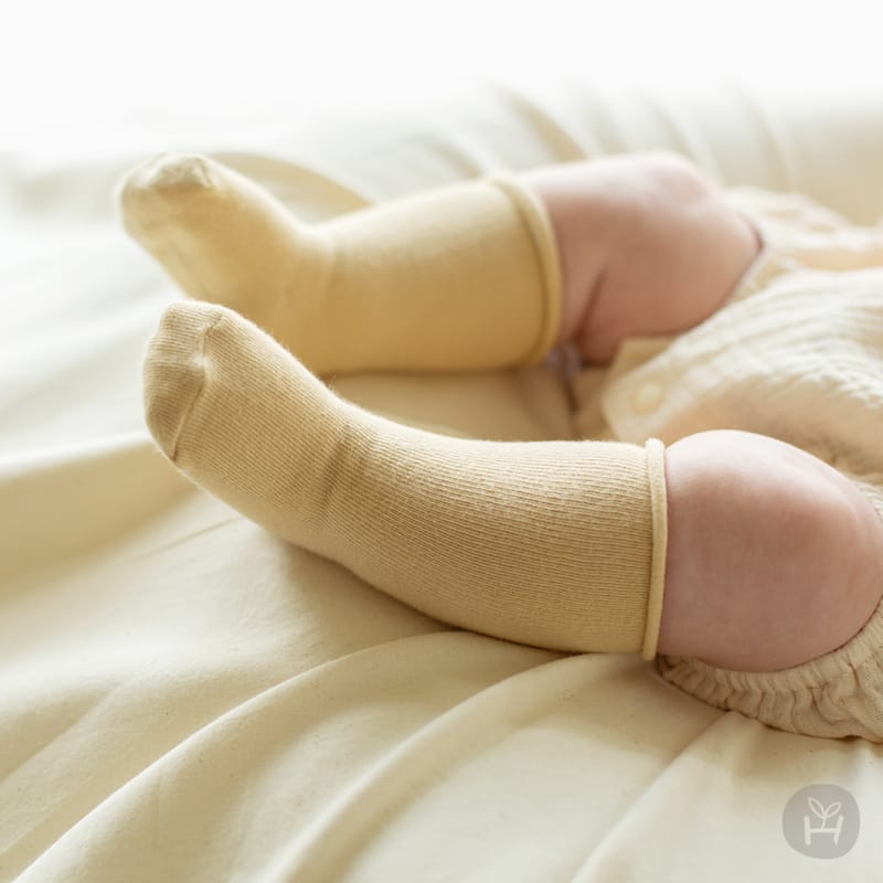 KIDS CLARA - Korean Children Fashion - #Kfashion4kids - Lovi Rolling Baby Socks [set of 5] - 2
