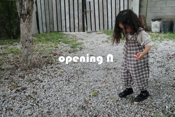 OPENING & - Korean Children Fashion - #Kfashion4kids - Jenny Check Overalls - 4