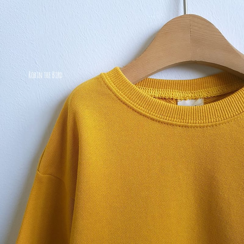 SAEROBIN - Korean Children Fashion - #Kfashion4kids - Fall Simple Sweathsirt - 6