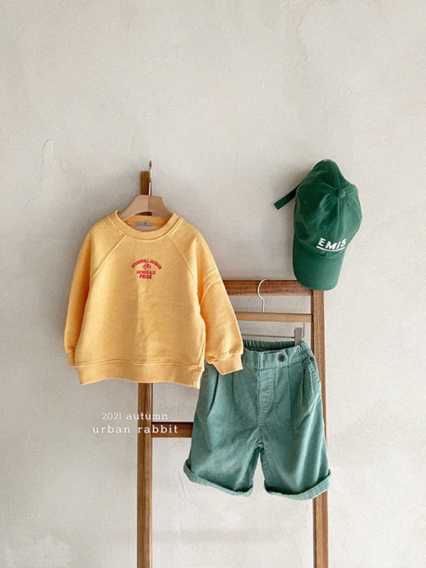 URBAN RABBIT - Korean Children Fashion - #Kfashion4kids - Pride Sweatshirt - 11