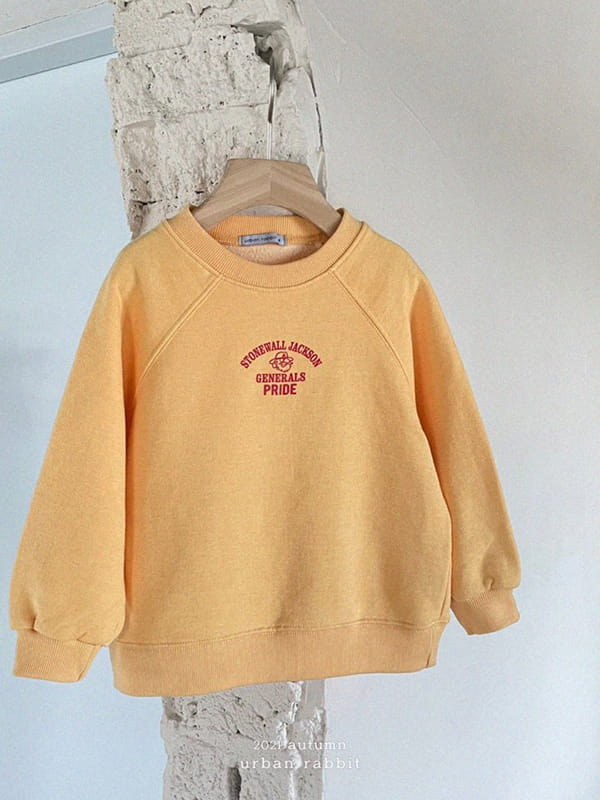 URBAN RABBIT - Korean Children Fashion - #Kfashion4kids - Pride Sweatshirt - 3