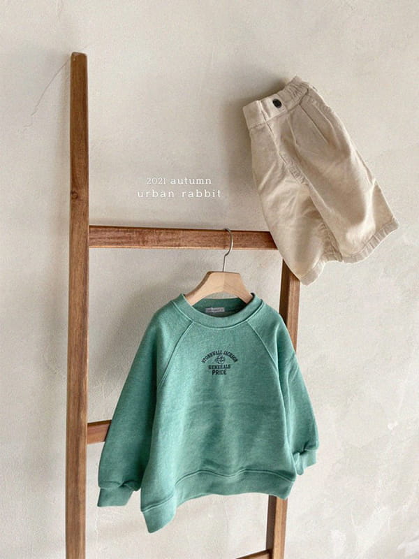 URBAN RABBIT - Korean Children Fashion - #Kfashion4kids - Pride Sweatshirt - 6