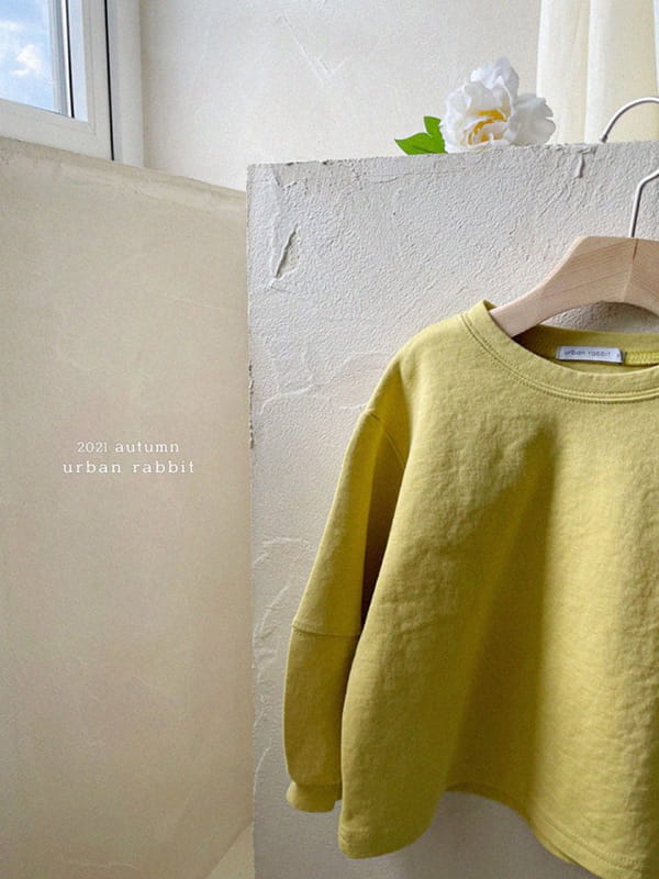 URBAN RABBIT - Korean Children Fashion - #Kfashion4kids - Puff Slit Sweatshirt - 9
