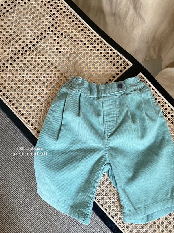 URBAN RABBIT - Korean Children Fashion - #Kfashion4kids - Corduroy Vizo Pants - 2
