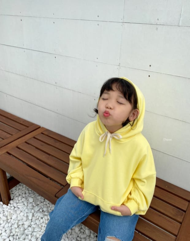 DSAINT - Korean Children Fashion - #Kfashion4kids - Everyday Hoody - 3