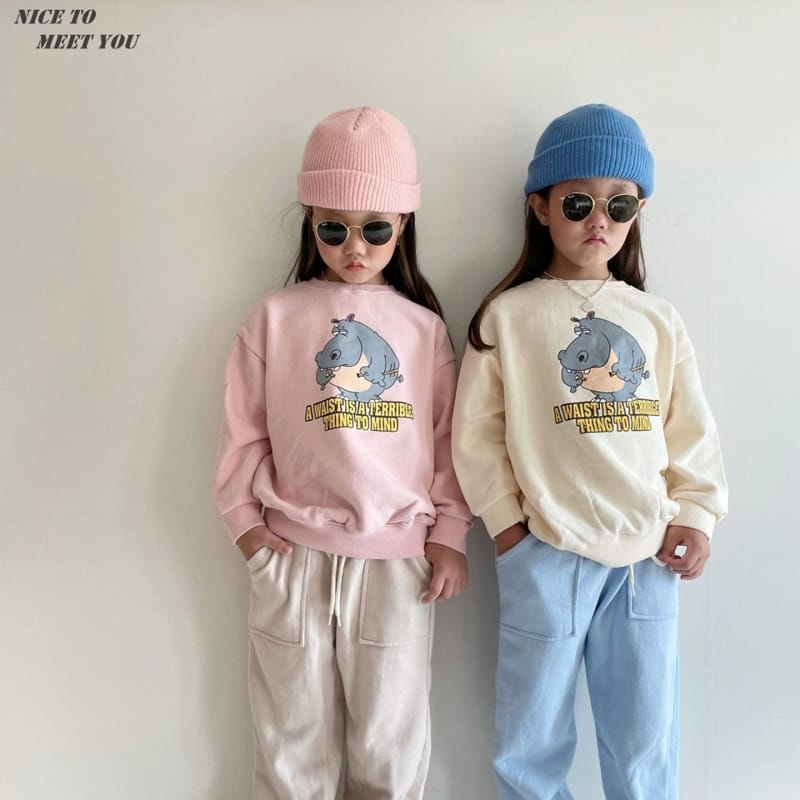 NICE TO MEET YOU - Korean Children Fashion - #Kfashion4kids - Hippo Sweatshirt - 3