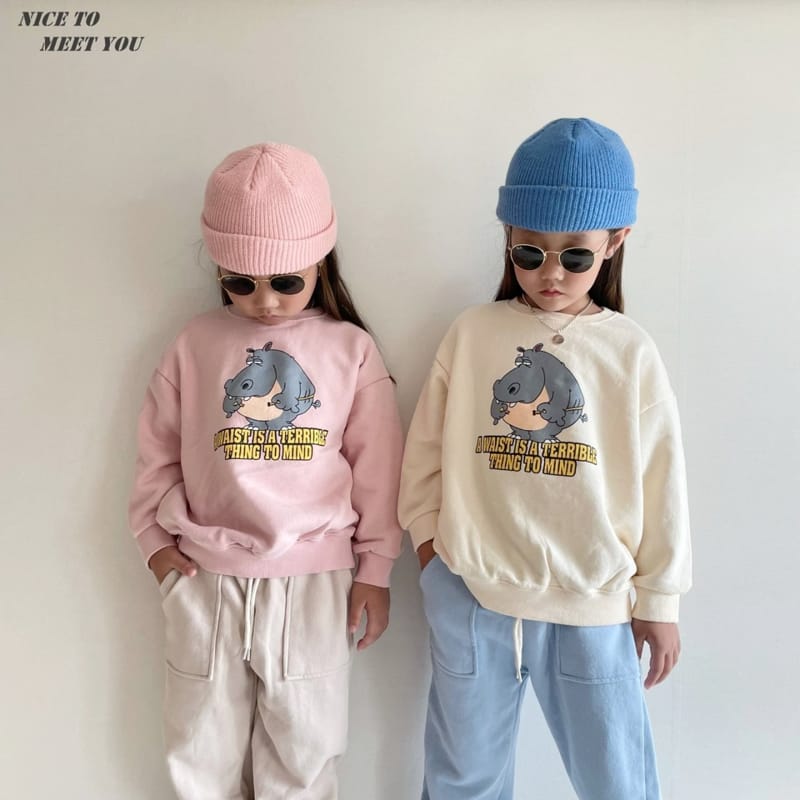 NICE TO MEET YOU - Korean Children Fashion - #Kfashion4kids - Hippo Sweatshirt - 9