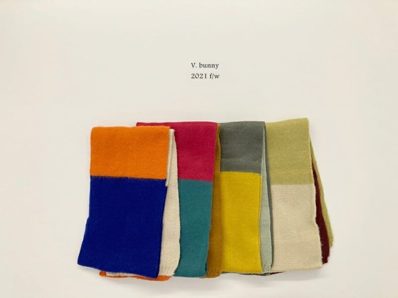 V BUNNY - Korean Children Fashion - #Kfashion4kids - Rainbow Muffler - 10
