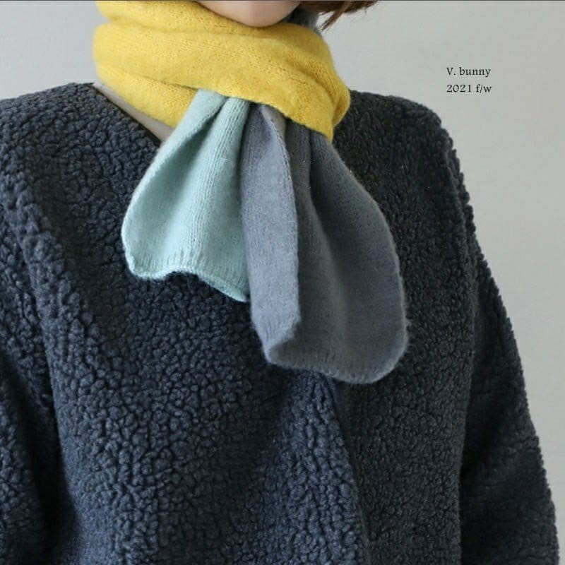 V BUNNY - Korean Children Fashion - #Kfashion4kids - Rainbow Muffler - 12