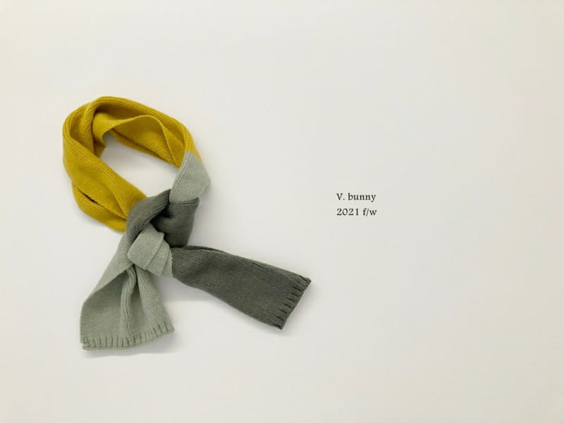 V BUNNY - Korean Children Fashion - #Kfashion4kids - Rainbow Muffler - 6