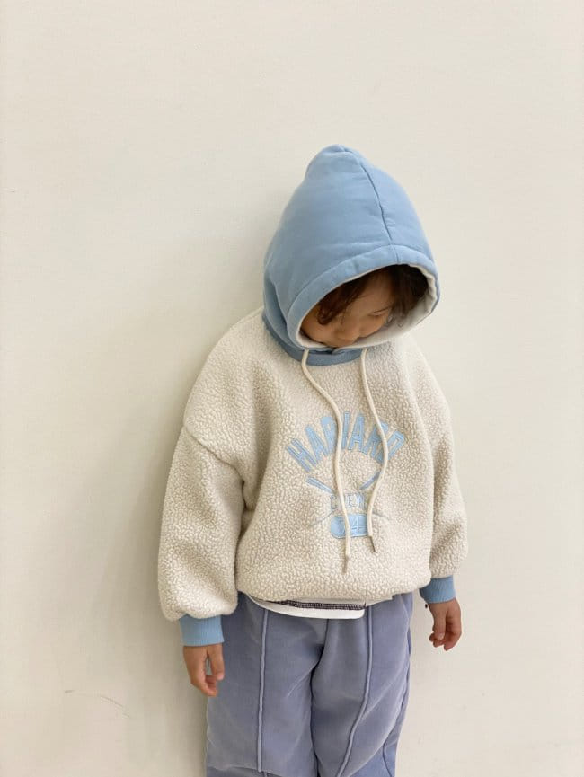 GARDEN - Korean Children Fashion - #Kfashion4kids - Harvard Fleece Hoody