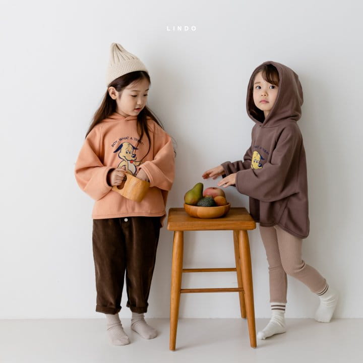 LINDO - Korean Children Fashion - #Kfashion4kids - Boy Hood Top - 11