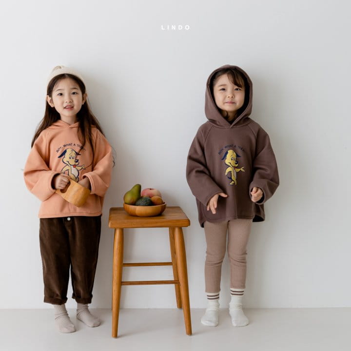 LINDO - Korean Children Fashion - #Kfashion4kids - Boy Hood Top - 12