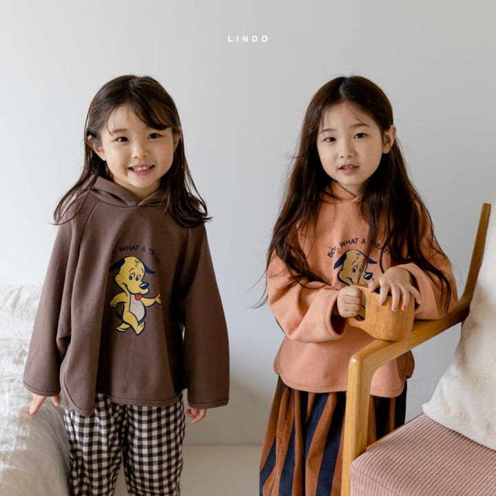 LINDO - Korean Children Fashion - #Kfashion4kids - Boy Hood Top - 3