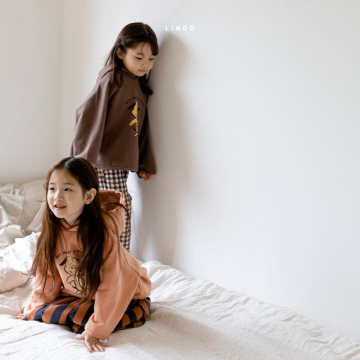 LINDO - Korean Children Fashion - #Kfashion4kids - Boy Hood Top - 5