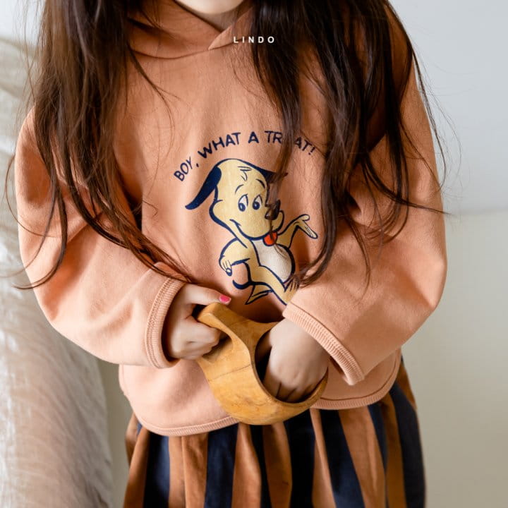 LINDO - Korean Children Fashion - #Kfashion4kids - Boy Hood Top - 8