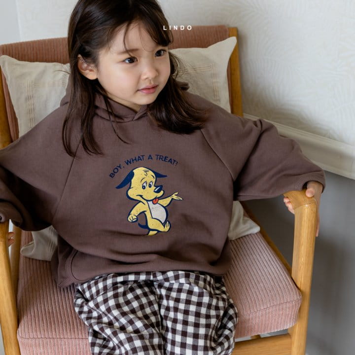 LINDO - Korean Children Fashion - #Kfashion4kids - Boy Hood Top - 9