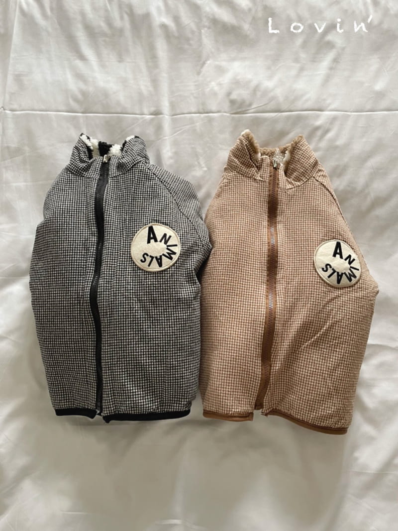LOVIN - Korean Children Fashion - #Kfashion4kids - Dia Jumper - 4