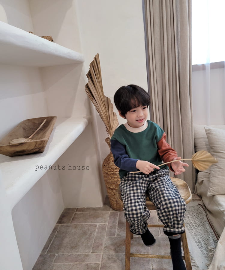 PEANUTS - Korean Children Fashion - #Kfashion4kids - Check Bonding Pants - 9