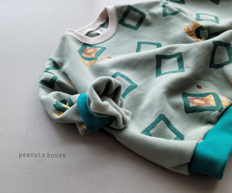PEANUTS - Korean Children Fashion - #Kfashion4kids - Tiger Tee - 4