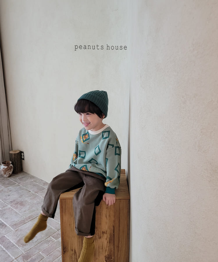 PEANUTS - Korean Children Fashion - #Kfashion4kids - Tiger Tee - 9