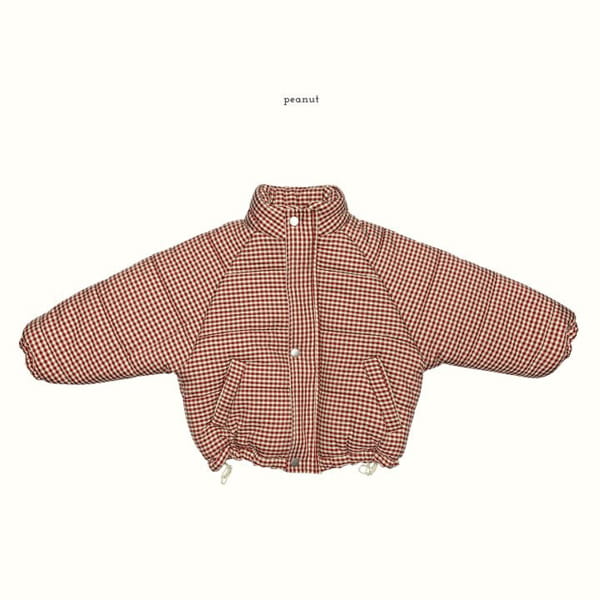 PEANUT - Korean Children Fashion - #Kfashion4kids - Check Attendance Padding Jumper - 3