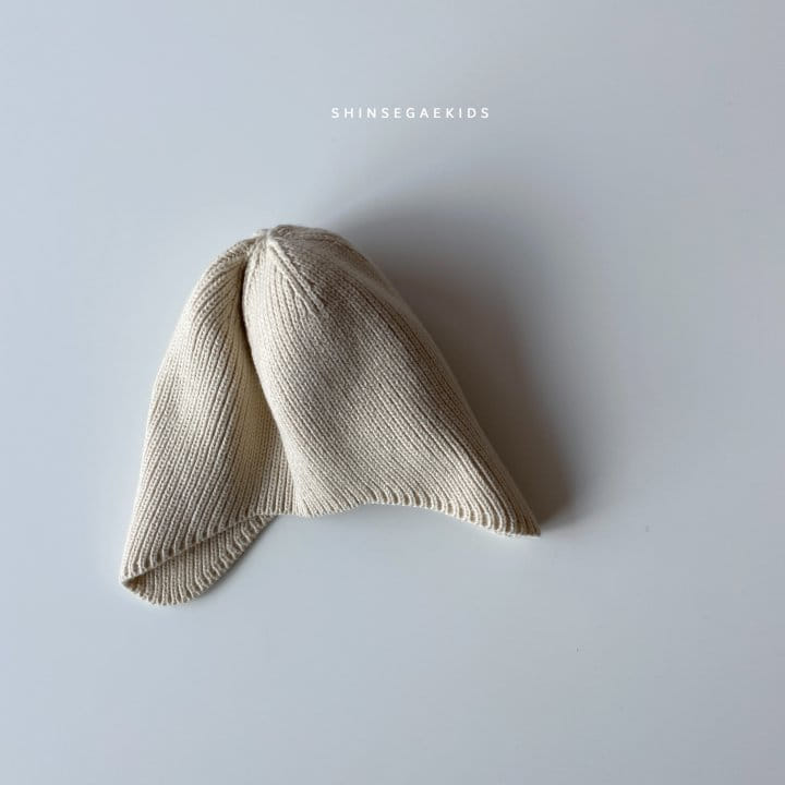 SHINSEAGE KIDS - Korean Children Fashion - #Kfashion4kids - Junior Acorn Beanie