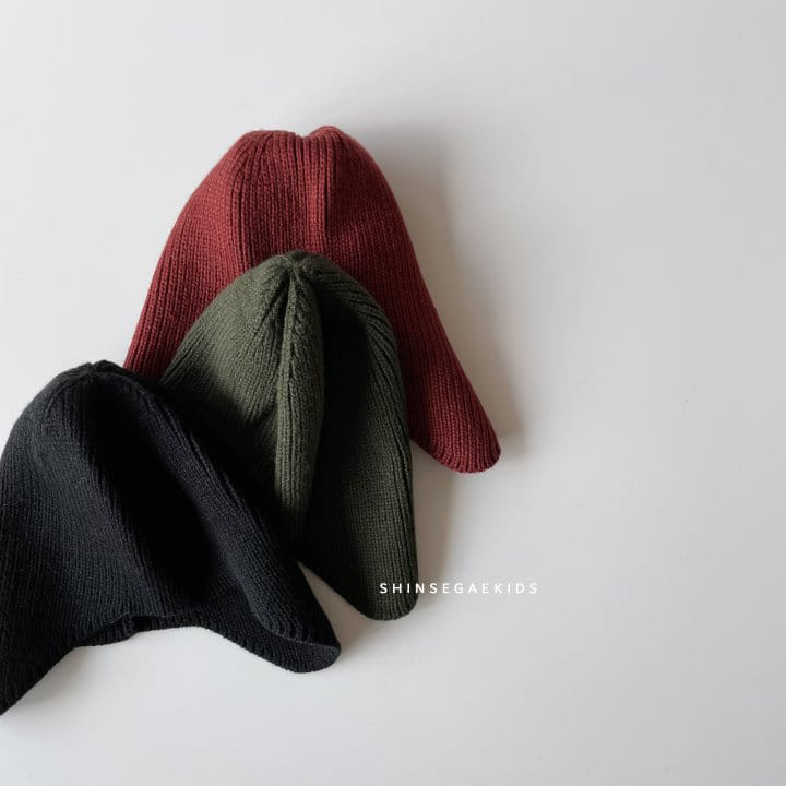 SHINSEAGE KIDS - Korean Children Fashion - #Kfashion4kids - Junior Acorn Beanie - 4