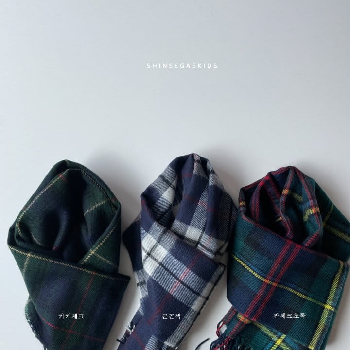 SHINSEAGE KIDS - Korean Children Fashion - #Kfashion4kids - Check Long Muffler - 6