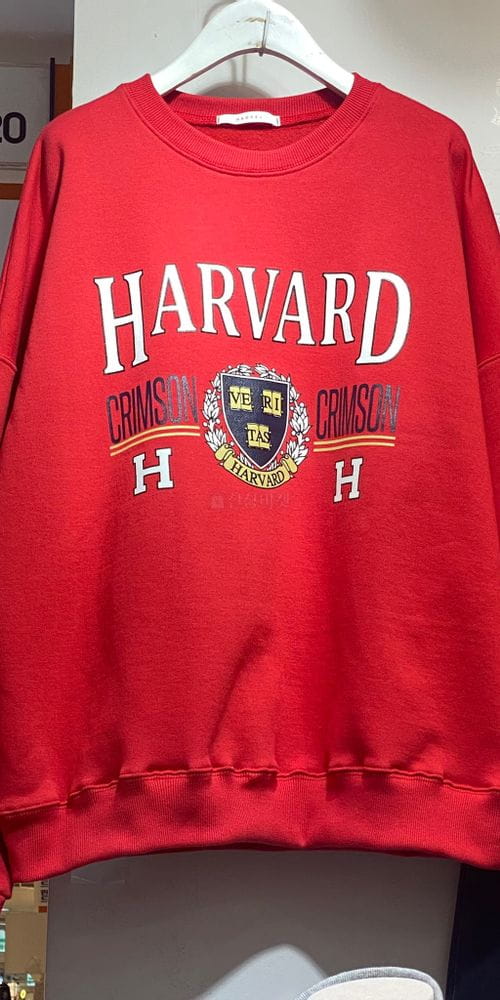 GROVE - Korean Children Fashion - #Kfashion4kids - Harvard Sweatshirt - 2