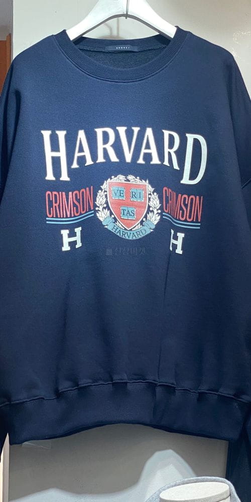 GROVE - Korean Children Fashion - #Kfashion4kids - Harvard Sweatshirt - 3